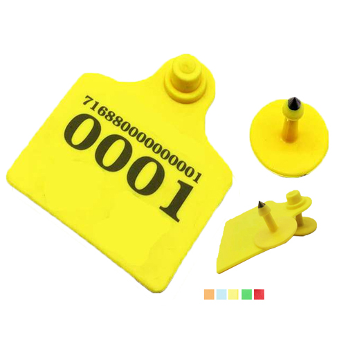 RFID DVD/CD Labels